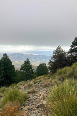 Fırtına gününde Maroma tepesine doğru yürüyüş yolunda sis ve bulutlar, Sierra Tejeda, İspanya 