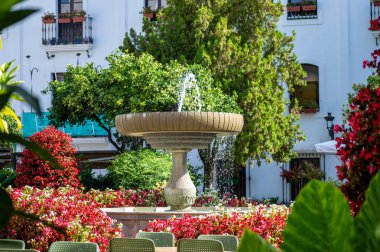 ESTEPONA, İSPAN - 29 Temmuz 2023 'te İspanya' nın Estepona kentinde yaz sabahı çiçek meydanı