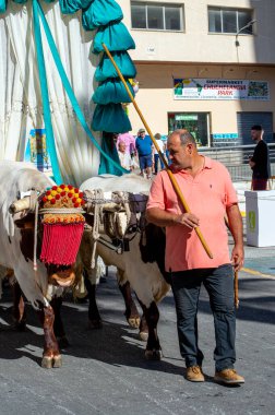 TORREMOLINOS, SPAIN - 24 Eylül 2023: 24 Eylül 2023 tarihinde İspanya 'nın Torremolinos kentindeki fuarın ilk günü olarak geleneksel San Miguel Romeria (Romeria de San Miguel) festivalinde hacılar