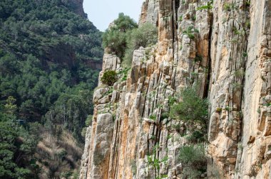 Caminito del Ray, Kralın Yolu. El Chorro, Malaga, İspanya 'da dar bir boğazın dik duvarları boyunca uzanan yürüyüş yolu