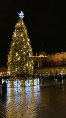 KRAKOW, POLAND - 21 Aralık 2023: Polonya 'nın Krakow kentindeki cadde ve dükkanlarda Noel süslemeleri