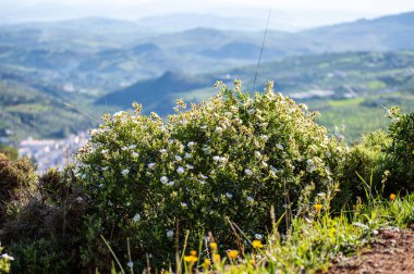Caballos nehri üzerindeki şelalelere doğru yürüyüş yolu Tolox, Malaga, İspanya 'daki Sierra de la Nieves Ulusal Parkı