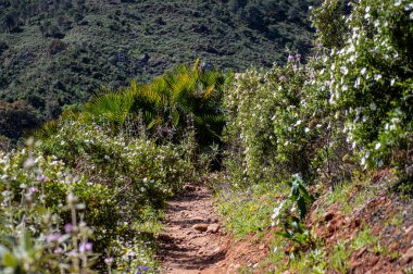 Caballos nehri üzerindeki şelalelere doğru yürüyüş yolu Tolox, Malaga, İspanya 'daki Sierra de la Nieves Ulusal Parkı