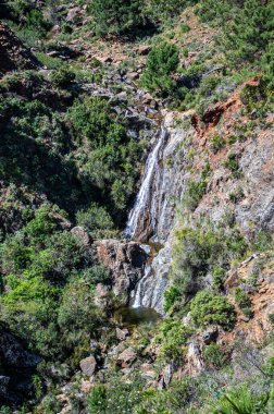 Caballos nehri üzerindeki şelalelere doğru yürüyüş yolu Tolox, Malaga, İspanya 'daki Sierra de la Nieves Ulusal Parkı