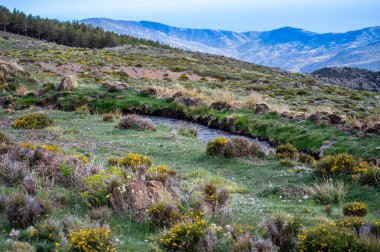 İlkbaharda eriyen kardan akan su akıntısı, Sierra Nevada, Endülüs, İspanya