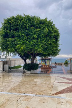 TORREMOLINOS, SPAIN - 14 Ekim 2024: 14 Ekim 2024 'te İspanya' nın Torremolinos kentinde yağmurlu ve bulutlu havada sabah yürüyüşü