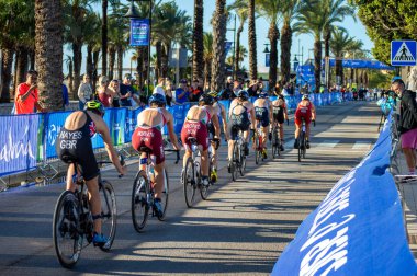 TORREMOLINOS, İspanya - 17 Ekim 2024: Dünya Triatlon Şampiyonası finali 17 Ekim 2024 tarihinde İspanya 'nın Torremolinos kentinde