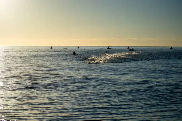 TORREMOLINOS, İspanya - 17 Ekim 2024: Dünya Triatlon Şampiyonası finali 17 Ekim 2024 tarihinde İspanya 'nın Torremolinos kentinde