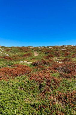 Pria Havadeliği olarak da bilinen Cantabrian Denizi 'ndeki Pria Bufones kayalıkları İspanya' nın Asturias kentinin kuzey kıyısında bulunan büyüleyici bir doğal jeolojik fenomendir..
