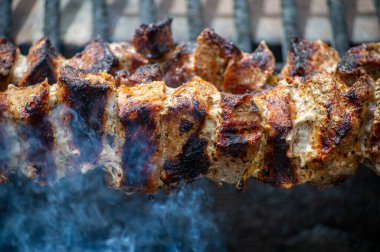 Metal şiş üzerinde ızgara domuz eti. Shashlik ya da şiş kebap ızgarada ızgara kömürle ızgara sebzeyle hazırlandı..