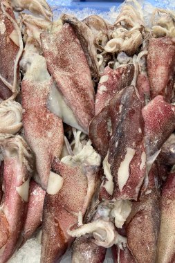 Markette taze ahtapot