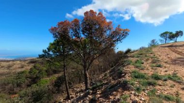 Akdeniz 'e ve Mijas zirvesinden Endülüs' e, Malaga 'ya, İspanya' ya kadar çevresindeki şehirlere panoramik bir bakış