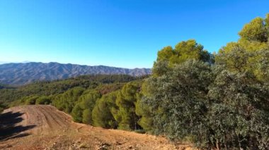 Malaga Tepeleri, Malaga, Costa del Sol, İspanya 'da panoramik manzara