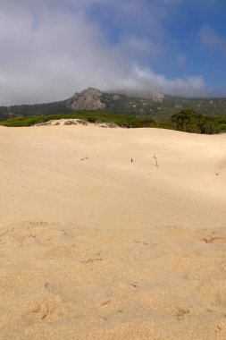 Tarifa, Endülüs, İspanya 'da Atlantik Okyanusu kıyısında Bolonya kumulları