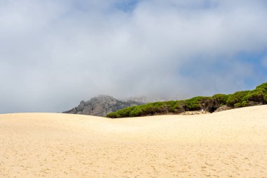 Tarifa, Endülüs, İspanya 'da Atlantik Okyanusu kıyısında Bolonya kumulları