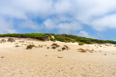 Tarifa, Endülüs, İspanya 'da Atlantik Okyanusu kıyısında Bolonya kumulları