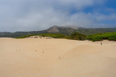 Tarifa, Endülüs, İspanya 'da Atlantik Okyanusu kıyısında Bolonya kumulları
