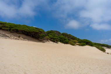 Tarifa, Endülüs, İspanya 'da Atlantik Okyanusu kıyısında Bolonya kumulları