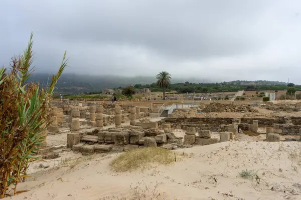 TARIFA, İspanya - 1 Eylül 2024: Tarifa, İspanya 'da Atlantik Okyanusu kıyısındaki Theatre de Baelo Claudia, 1 Eylül 2024