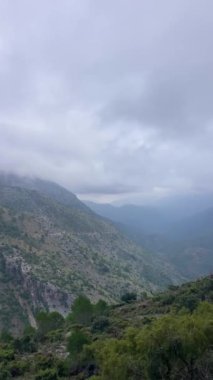 Pinewood 'dan Pinsapo de las Escaleretas' a, Sierra de Las Nieves Ulusal Parkı 'na kadar olan yürüyüş parkının panoramik görüntüsü.