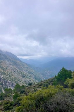 Pinewood 'dan Pinsapo de las Escaleretas' a, Sierra de Las Nieves Ulusal Parkı 'na kadar olan yürüyüş parkının panoramik görüntüsü.