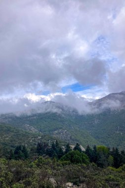 Pinewood 'dan Pinsapo de las Escaleretas' a, Sierra de Las Nieves Ulusal Parkı 'na kadar olan yürüyüş parkının panoramik görüntüsü.