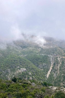 Pinewood 'dan Pinsapo de las Escaleretas' a, Sierra de Las Nieves Ulusal Parkı 'na kadar olan yürüyüş parkının panoramik görüntüsü.