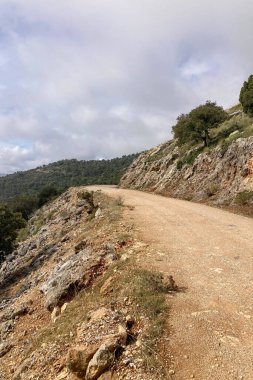 Pinewood 'dan Pinsapo de las Escaleretas' a, Sierra de Las Nieves Ulusal Parkı 'na kadar olan yürüyüş parkının panoramik görüntüsü.