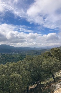 Pinewood 'dan Pinsapo de las Escaleretas' a, Sierra de Las Nieves Ulusal Parkı 'na kadar olan yürüyüş parkının panoramik görüntüsü.