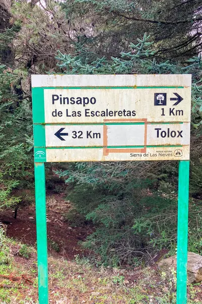 SIERRA DE LAS NIEVAS, İspanya - 3 Kasım 2024: Pinsapo de las Escaleretas 'a yürüyüş yolu, Sierra de Las Nieves Ulusal Parkı, İspanya 3 Kasım 2024