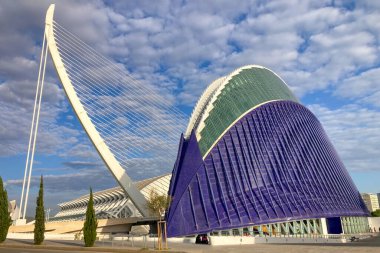 VALENCIA, SPAIN - NOVEMBER 18, 2024: Golden sunrise illuminates futuristic architecture, reflecting in serene waters of Valencia's City of Arts and Sciences in Valencia, Spain on November 18, 2024 clipart