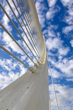 VALENCIA, İspanya - 18 Kasım 2024 'te İspanya' nın Valencia şehrinin sakin sularına yansıyan altın gündoğumu, gelecekteki mimariyi aydınlatır.