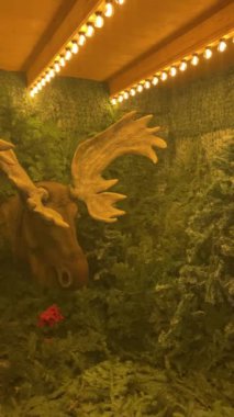 MUNİK, Almanya - 1 Aralık 2024: Almanya 'nın Münih şehrinin göbeğinde 1 Aralık 2024' te muhteşem Noel ışıkları ve fuarı