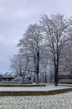 MUNİK, Almanya - 2 ARALIK 2024 Münih Garching Teknik Üniversitesi kampüsünde dondurucu sabah