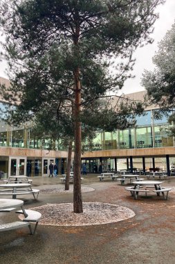 MUNİK, Almanya - 2 ARALIK 2024 Münih Garching Teknik Üniversitesi kampüsünde dondurucu sabah