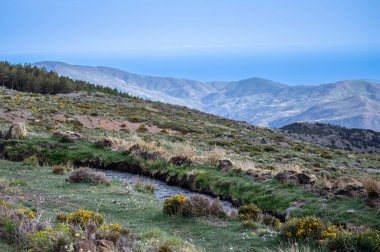 Water stream flowing from melting snow in the spring, Sierra Nevada range, Andalusia, Spain clipart