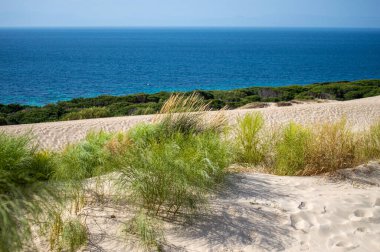 Valdevaqueros Dune in Tarifa, Strait of Gibraltar, Spain clipart