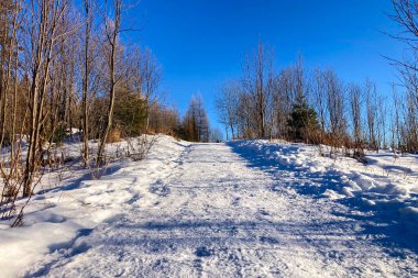 Strbske Pleso 'nun kış manzarası, Slovakya' nın başkenti High Tatras 'ta aynı adı taşıyan bir kayak, en iyi turizm beldesi ve sağlık merkezi..