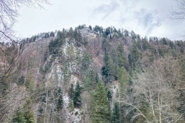 Tomasovsky manzarasına soğuk bir kış yürüyüşü, Slovakya 'daki Sloven Raj Ulusal Parkı' nda nefes kesici manzaralar sunan çarpıcı bir kaya oluşumu