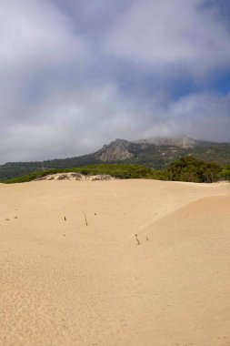 Tarifa, Endülüs, İspanya 'da Atlantik Okyanusu kıyısında Bolonya kumulları