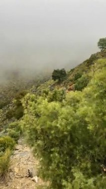 Fırtına gününde Maroma tepesine doğru yürüyüş yolunda sis ve bulutlar, Sierra Tejeda, İspanya 