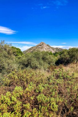 Sonbahar ormanlarında yürüyüş yolu, Sierra de Las Nieves Ulusal Parkı, İspanya