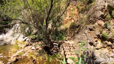 Caballos nehri üzerindeki şelalelere doğru yürüyüş yolu Tolox, Malaga, İspanya 'daki Sierra de la Nieves Ulusal Parkı
