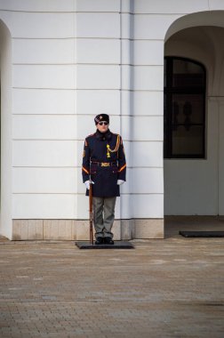 SLOVAKIA, BRATISLAVA - 8 Ocak 2025: Grassalkovich Sarayı Bratislava, Slovakya 'da bir saraydır ve Slovakya Cumhurbaşkanı' nın ikametgahıdır.