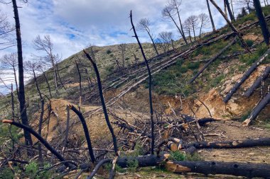 İspanya, Mijas yakınlarında terk edilmiş açık maden ocakları ve yanmış ağaçlar boyunca yürüyüş yapmak. 