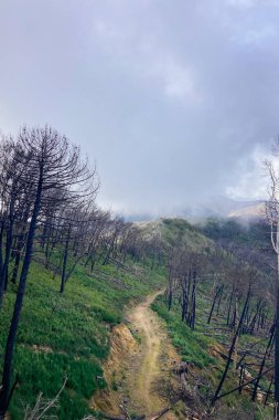 İspanya, Mijas yakınlarında terk edilmiş açık maden ocakları ve yanmış ağaçlar boyunca yürüyüş yapmak. 