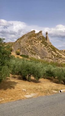 Zeytin ağaçları boyunca kırsal yol, Granada ili, Endülüs, İspanya