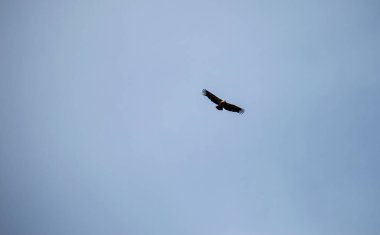 İspanya 'nın Endülüs Bölgesi' nin Malaga ilindeki Montejaque barajına (Presa de Montejaque) ve Hundidero mağarasına yürüyüş