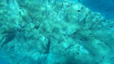 İspanya, Almunecar 'da San Cristobal Kayaları' nın yanında deniz yatağı