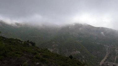 Pinewood 'dan Pinsapo de las Escaleretas' a, Sierra de Las Nieves Ulusal Parkı 'na kadar olan yürüyüş parkının panoramik görüntüsü.